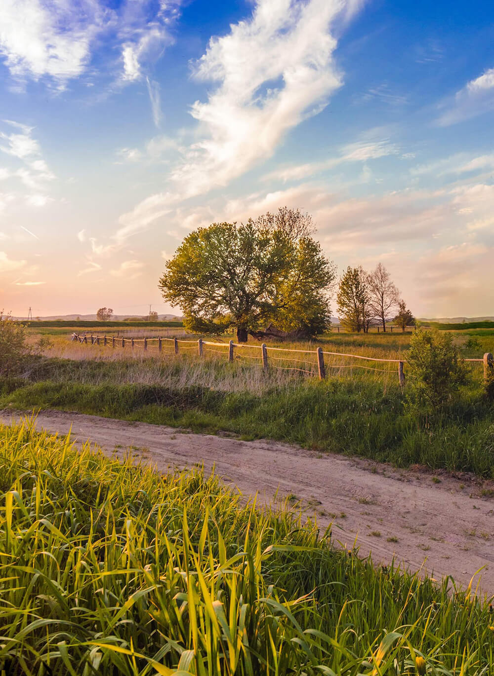 Farms & Acreage | Greeley Homes (Austin & Austin)